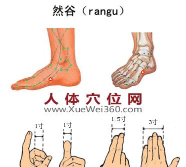 天谷穴|太玄关和天谷穴的具体位置